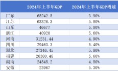 经济十强省上半年挑起大梁，7省份增速超过全国