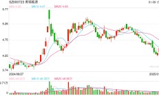 美锦能源氢能项目延期背后：负债率新高大幅下修转股价 大股东陷债务危机筹划资产注入