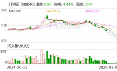 ST旭蓝：无法在责令改正期限内完成资金占用整改 1月6日起停牌