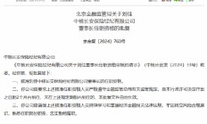 刘佳获准担任中核长安保险经纪有限公司董事长