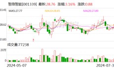 智微智能上半年净利同比增逾三成 拟定增募资不超3亿元