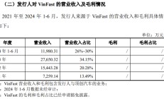 龙创设计闯关创业板：2023年增收不增利 第一大客户“越南特斯拉”VinFast大额亏损并推迟建厂计划