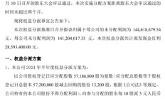 武汉蓝电2024年半年度权益分派每10股派现5元 共计派发现金红利2859.34万元