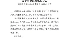 变动才刚开始？前海财险董事会换届尘埃落定 霍建梅出任董事 原董事长黄炜落选