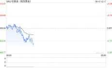 黄金市场传来一则西方资金“重磅利好”！