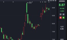 香港金管局、北上资金，狂买这只A股！