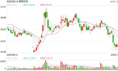 路畅科技*ST风险高悬：实控人套现14亿离场 重组吃相难看终流产、中联重科重金换来"烫手山芋"