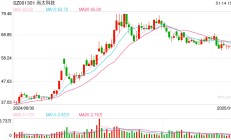 尚太科技经营现金流"六连负"120亿项目生变 20亿融资两年耗尽欲再募25亿