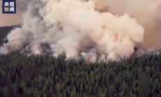 美国加州北部山火导致数千人疏散