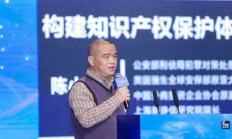 新诤信集团陈小东：IP产业的保护是版权保护、著作权保护