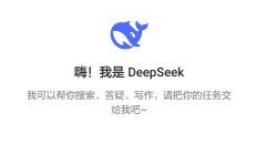 “后来者”DeepSeek：掀起算法效率革命，AI革命的下半场从“算力军备竞赛”转向“算法效率革命”