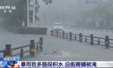 多路段积水、沿街商铺被淹，琼海持续暴雨！又一台风生成或影响华南