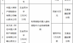 国寿财险峨山县支公司被罚10万元：利用保险代理人虚构保险中介业务套取费用