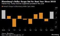 美元迈向九年来最佳年度表现 受美国经济和特朗普关税威胁支撑