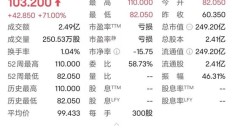“728万元申购，只中300股” ！这只新股暗盘暴涨71%