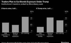 调查：相较特朗普 哈里斯赢得大选对美国国债更有利