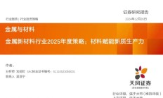 金属新材料2025年度策略：材料赋能新质生产力 | 天风金属新材料刘奕町团队