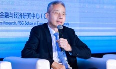李迅雷：新能源政策应从偏重产能提高转为促进消费