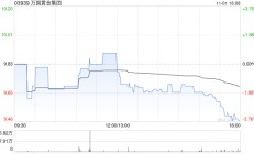 万国黄金集团完成发行1.656亿股新股份