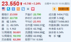 英特尔涨超3.2% 推出新一代AI芯片Xeon 6与Gaudi 3