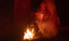 市长遭质问一言不发、连续两天误发警报 美演员吐槽：消防员倒是跑挺快