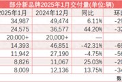 “新汽车”开局2025：鸿蒙智行挑战百万辆年销目标 小米首居前三