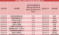 前三季度两只“冠亚基”收益超50%，超八成百亿级主动权益基金“回血”