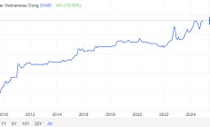 美元飙升重创市场，越南盾汇率跌至历史最低水平