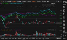 得润电子因定期报告数据不准确被责令改正！