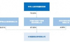 长城国瑞因首席信息官长期空缺等原因被罚，去年信息投入5647万