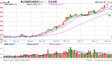 期货午评：集运指数涨近4%，纯碱涨近3%，碳酸锂、氧化铝、焦炭涨2%；马士基CEO：红海航运中断到第三季度