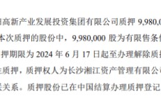 惠同新材股东质押998万股 用于融资性质押