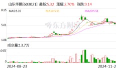 山东华鹏：选举刘东广为董事长