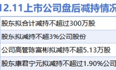 12月11日上市公司减持汇总：中国核电等4股拟减持（表）