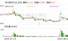 海内外市场同步拓宽 风光股份2024年上半年营业收入同比增37.03%