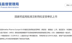 全球首款CLDN18.2靶向药国内获批上市，热门靶点竞争格局几何