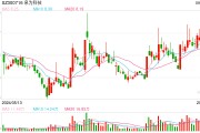 泉为科技频甩子公司  接盘方存蹊跷