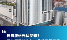 跨界玩家棒杰股份子公司股权又被冻结