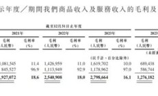 “京东之子”冲刺IPO：营收高歌猛进，毛利率却低，高周转模式下隐忧不少