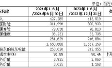 中国人民保险集团发布2024年中期业绩