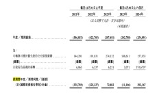 下一个泡泡玛特？布鲁可被买爆背后：IP依赖及“偏科”隐忧仍存