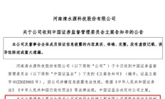 突发公告！又一A股，被证监会立案！