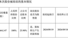 实控人失联后，这家A股公司又突发：控股股东股权被公安局冻结！
