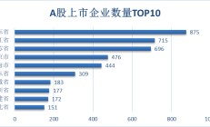 上市公司群像里的广东经济：2024年总量增量双第一 总市值比肩全省GDP