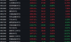 上半年涨超370%，是它！