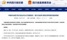 农业银行四川省达州分行党委委员、副行长赵辉被查
