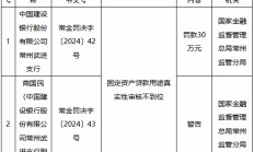 建设银行常州武进支行被罚30万元：固定资产贷款用途真实性审核不到位