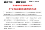 突发！又有A股公司总经理，被证监会立案！