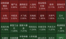 被立案！牛股80万手封死跌停！