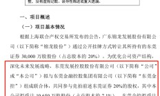 买家出现！老牌券商20%股权 获2家企业联合竞拍！